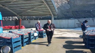 Kayserililer depremzedeler için seferber oldu