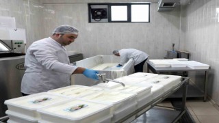 KAYÜ bağışçılardan temin ettiği sütü peynir yaparak depremzedelere gönderdi