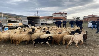 Keçileri yanan çiftçiye destek gecikmedi