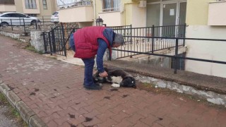 Kendisine iki gün yiyecek veren esnafa vefasını böyle gösteriyor