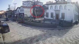 Kestiği ağaçtan düşerek hayatını kaybetti