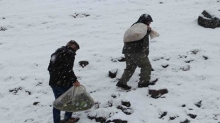 Kırsalda kar esareti devam ederken yaban hayvanları unutulmadı