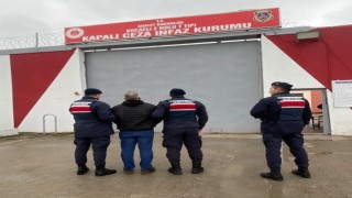 Kocaelide terör operasyonu: 1 tutuklama