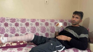 Komşusunun köpeğinin saldırısına uğrayan vatandaşın parmağı koptu, eli parçalandı