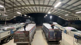 Konya Büyükşehirden Hataydaki hayvan üreticilerine 10 tır yem desteği
