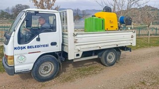 Köşkte larva ile mücadele çalışmaları başladı