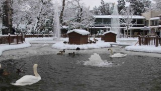 Kuğulu Parkta kar coşkusu