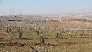 Kuraklık tedirgin ediyor: Umutlar mart ve nisan yağmurlarına kaldı