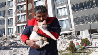 Malatyada ağır hasarlı binada mahsur kalan kedi kurtarıldı