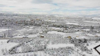 Malatya'da kayısı bahçeleri beyaz gelinliğini giydi