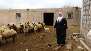 Mardinin tek kadın muhtarı Nebahat, gelin geldiği köyü iki dönemdir yönetiyor