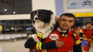 Meksika, meşhur arama kurtarma köpeklerini Türkiyeye gönderdi