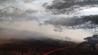 Mersinde orman yangını, kontrol altına alındı