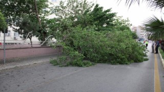 Meteorolojiden Aydına kuvvetli rüzgar ve fırtına uyarısı