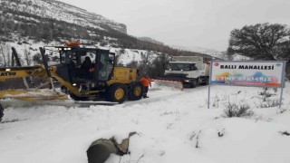Mutun yayla mahallelerinde karla mücadele