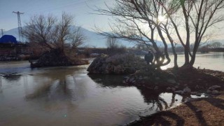 Nehirde mahsur kalan köpek kurtarıldı