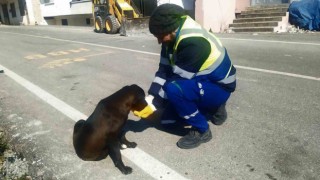 Nerede bir can varsa, orada Bursa var