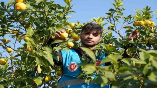 Öğrencilerden İyilik eli