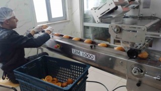 Okullarda üretilen ekmekler deprem bölgesine gönderiliyor
