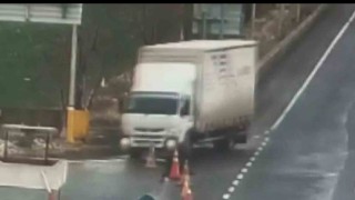 Otobüsün camına çarpan şahini duyarlı sürücü kurtardı, o anlar kamerada