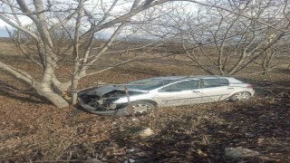 Otomobil ceviz ağacına çarptı: 2 yaralı