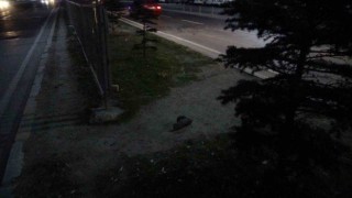 Otomobilin çarptığı yaya ağır yaralandı