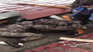 PÖH ekipleri Malatyada enkaz altında kalan vatandaşları kurtardı