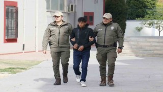 Polis, ata işkence eden gence at arabasındaki un çuvalından ulaştı