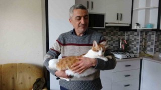 Rüyasına girdi, depremde mahsur kalan kedisini canı pahasına kurtardı