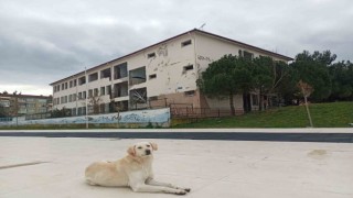 Samsunda okul binaları güçlendiriliyor