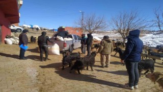 Siirtten deprem bölgesine 100 ton yem ve saman gönderildi