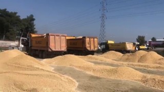 Siirtten giden ekip Hatayda şantiye kurdu
