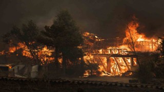 Şilide orman yangınlarında can kaybı 22ye yükseldi