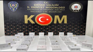 Şırnakta asayiş ve kaçakçılık operasyonu: 40 gözaltı