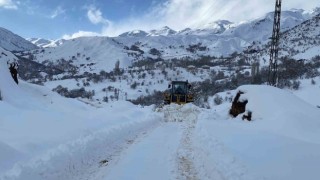 Şırnakta kapalı köy yolları açıldı