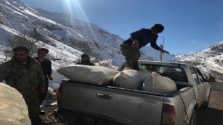 Şırnaktan deprem bölgesine yem desteği