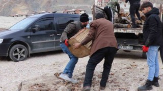 Sular altında kalacak olan ilçedeki ağaçlar depremzedeleri ısıtacak