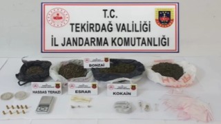 Tekirdağda Kökünü kurutma operasyonu: 27 gözaltı