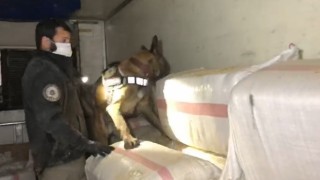 TEMde durdurulan saman yüklü tırdan 99 kilo eroin çıktı