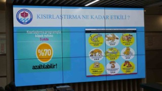 Trabzonda başıboş köpeklerle topyekün mücadele için harekete geçildi