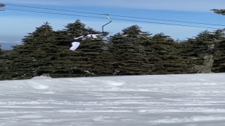 Uludağda bir kayakçı telesiyejde böyle asılı kaldı