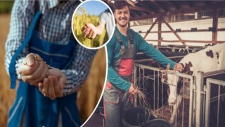 Uzman Eller projeleri için ek süre imkanı getirildi