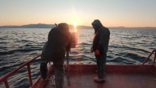 Van Gölünün mavi sularında ekmek mücadelesi