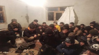 Vanda 16 günde 440 düzensiz göçmen yakalandı