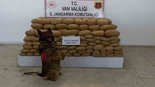 Vanda 486 kilogram toz esrar ele geçirildi