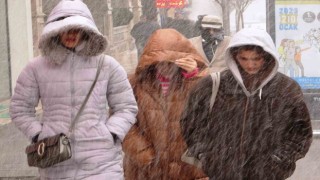 Vanda kar yağışı başladı