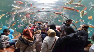 Yıldırımda tünel akvaryumu 10 günde 40 bin kişi ziyaret etti