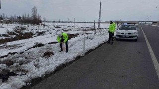Yol kenarındaki yavru köpeklere polis şefkati