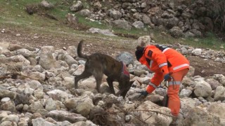 1,5 yaşındaki Zeynep hassas burunlu köpek ile aranıyor