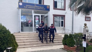 22 yıl hapis cezası vardı, jandarma ekiplerince yakalandı